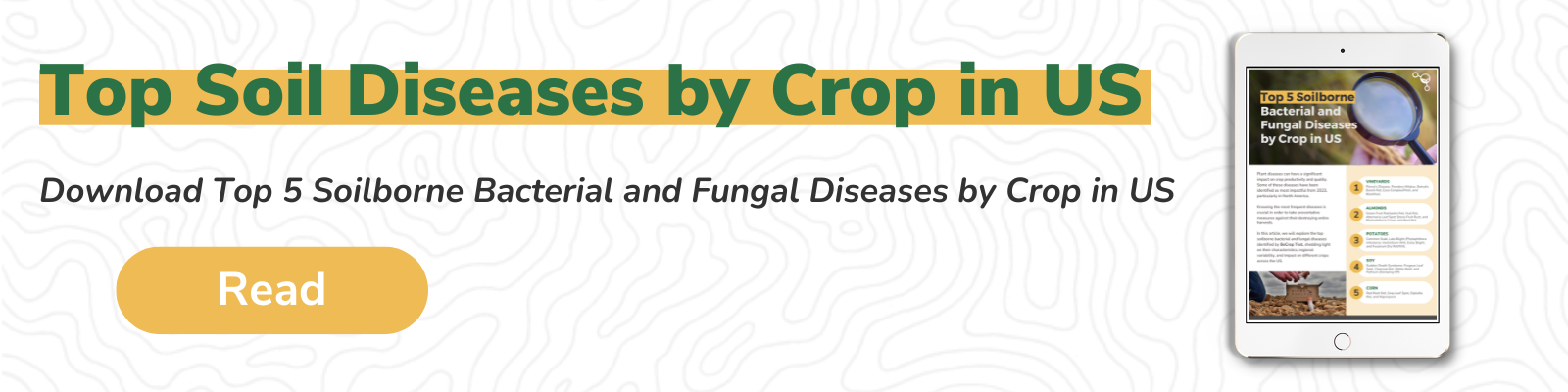 Top Soil Diseases by Crop in US