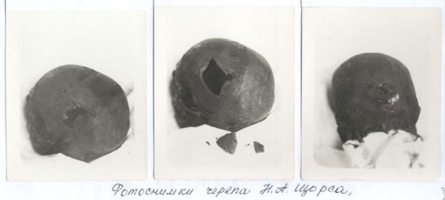 Світлини черепа Миколи Щорса