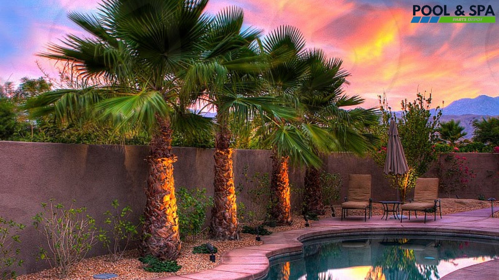 Palm Trees Around Pool