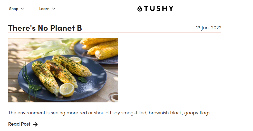 Tushy Blog is a Fun-loving Shopify Blog