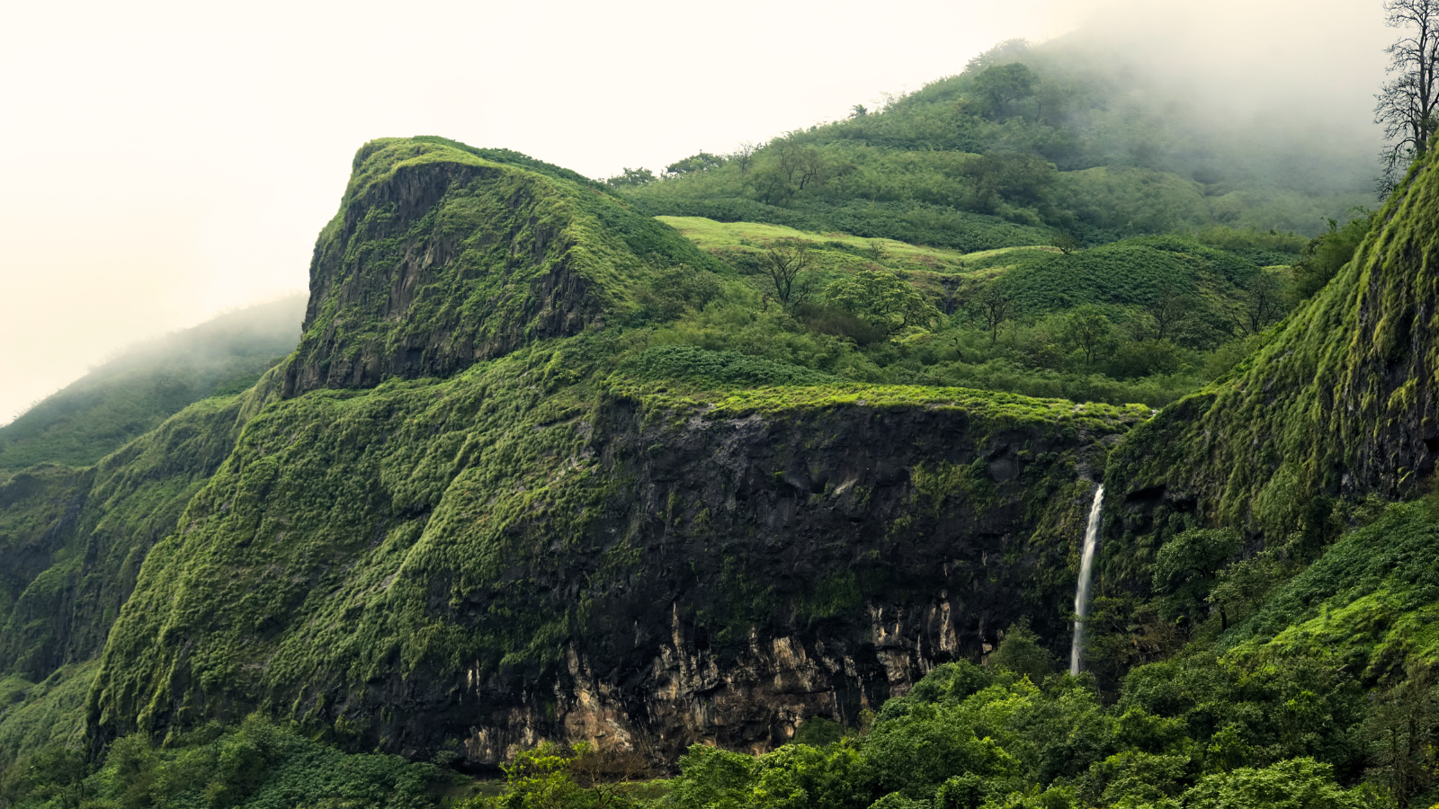 Maharashtra