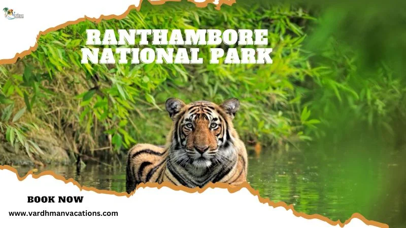 Ranthambore National Park