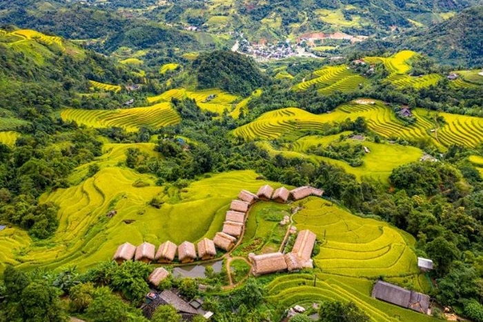 Visit Phung village, best place to see rice terraces Hoang Su Phi Ha Giang, Vietnam