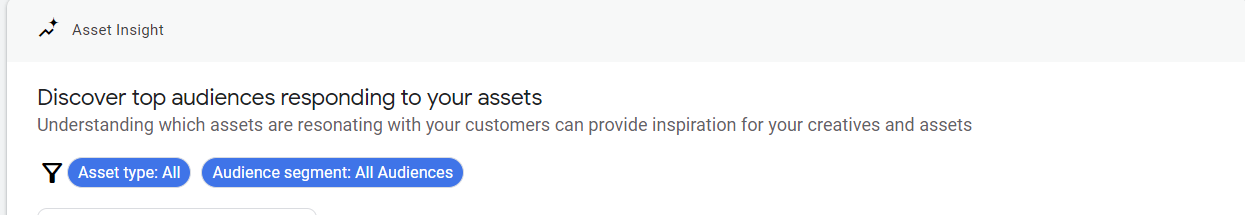 A screenshot of the Asset Insight screen in Google Ads.