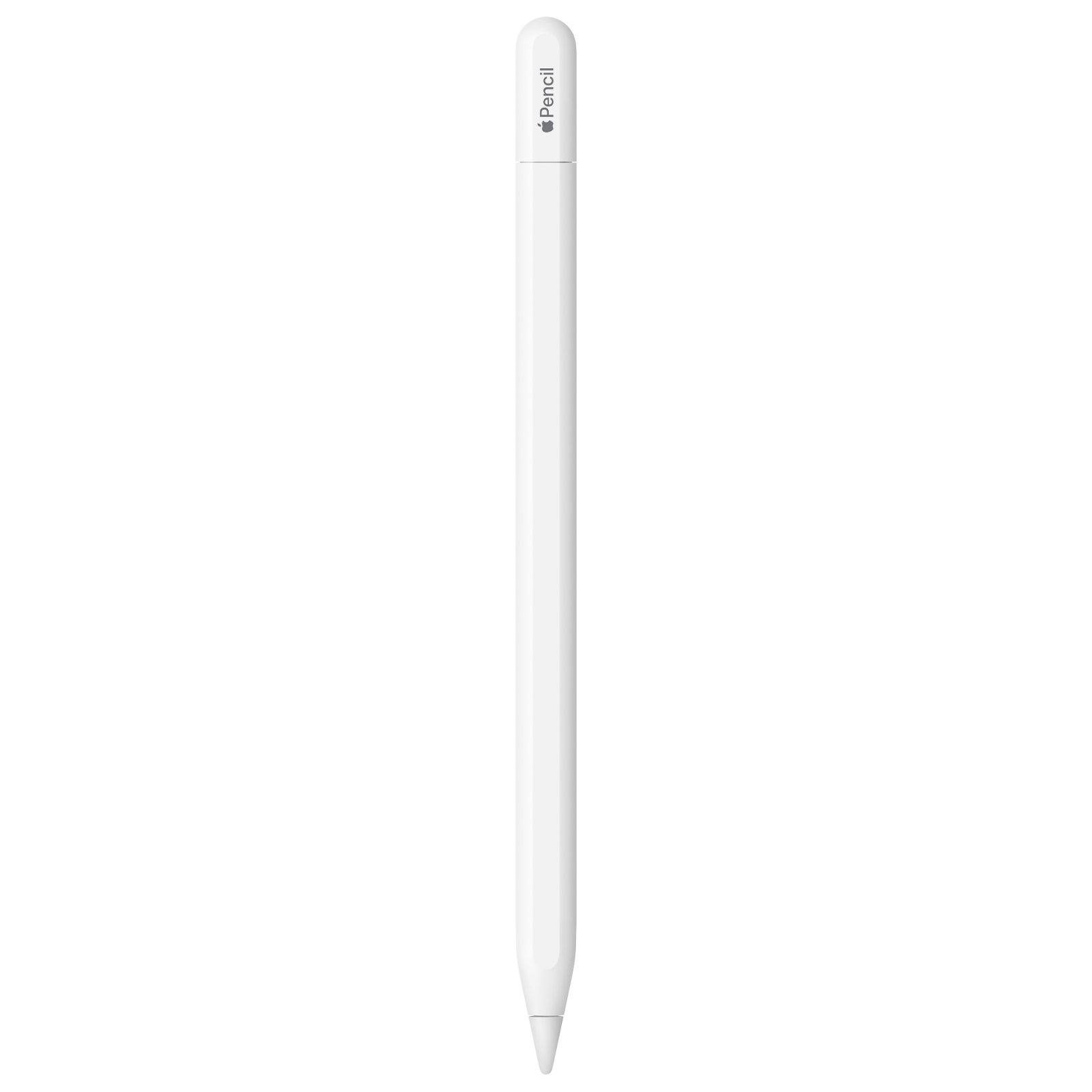 A close-up view of the Apple Pencil tip on a white background, showing the fine point for detailed work.