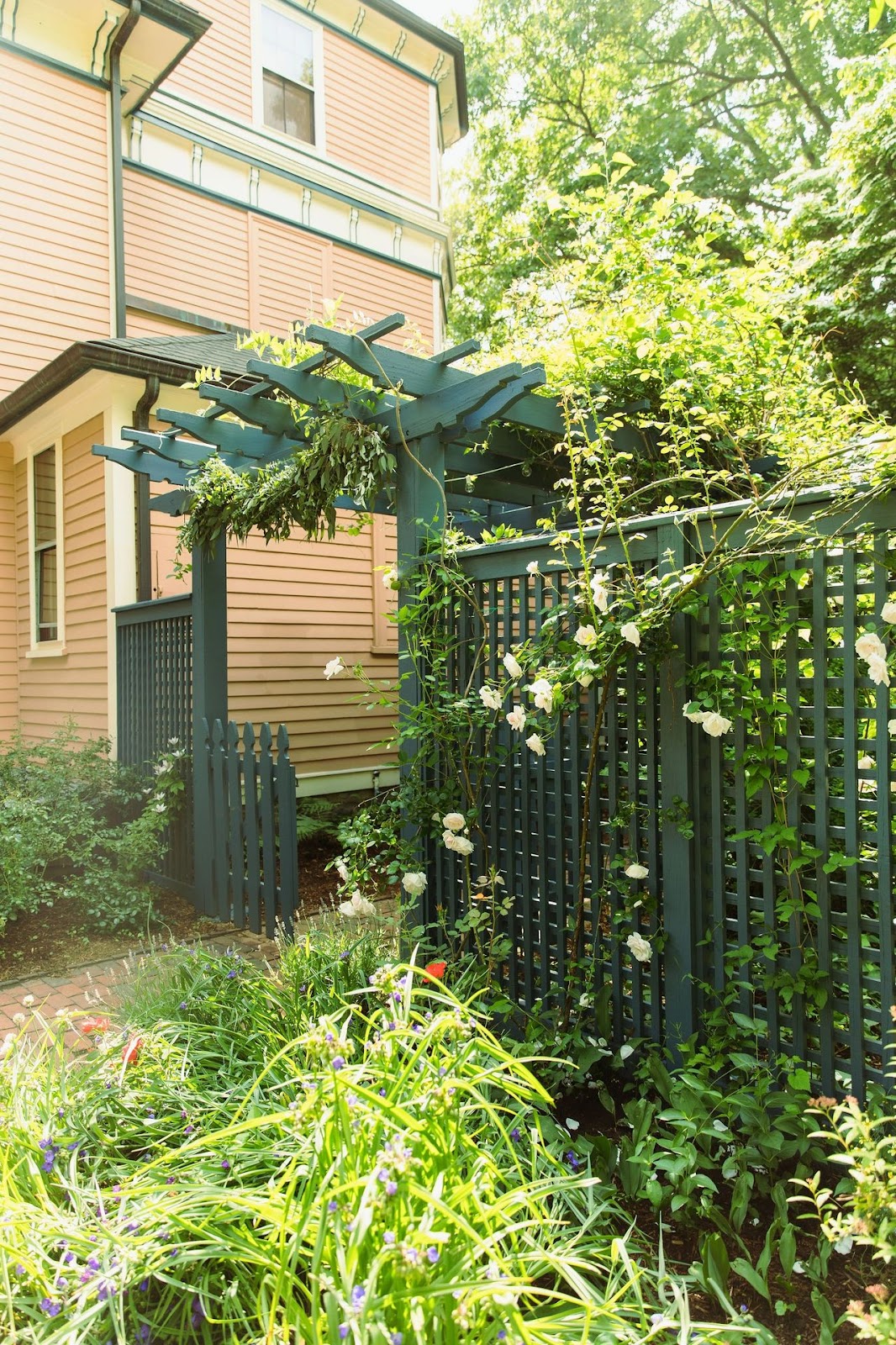 Pergola to backyard garden