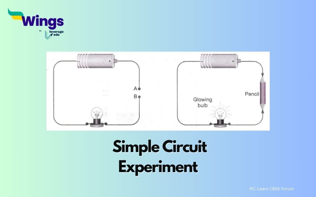 Class 7 Science Project: Simple Circuit Experiment
