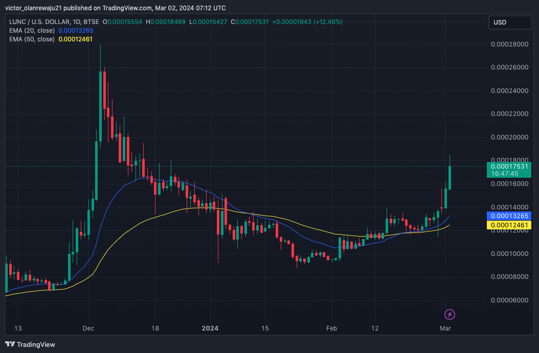 LUNC/USD Daily Chart (Source: TradingView)