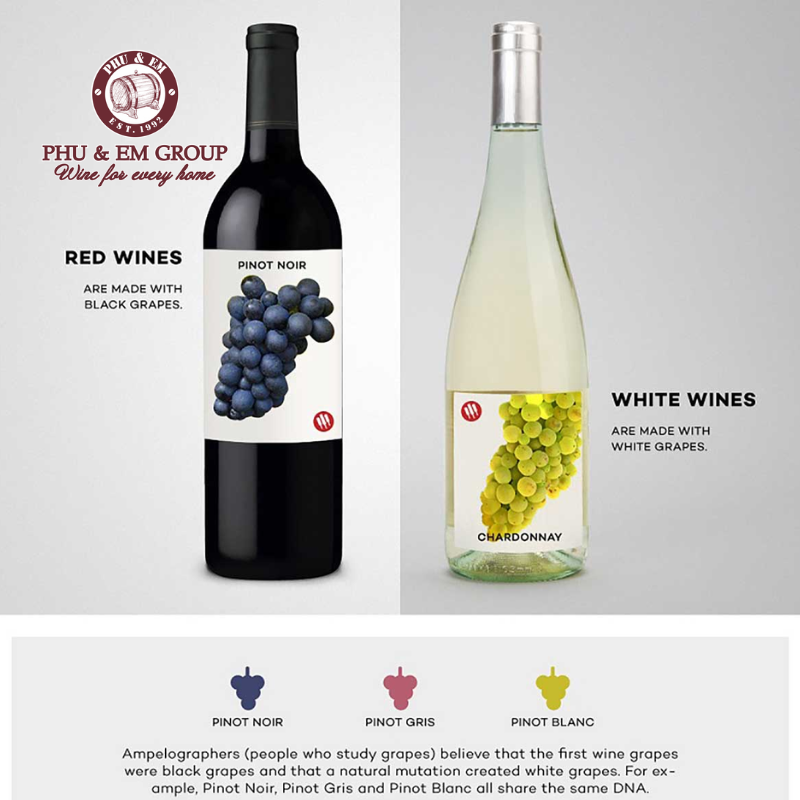 Sự khác biệt giữa rượu vang trắng và rượu vang đỏ