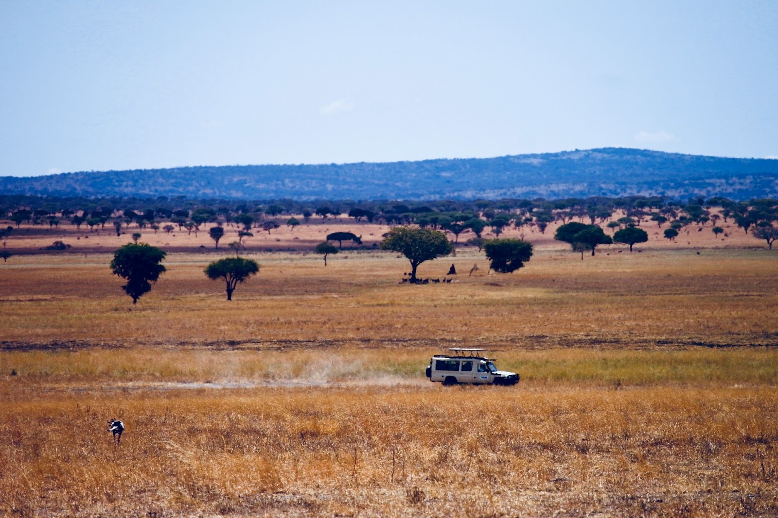 tipping on safari in tanzania