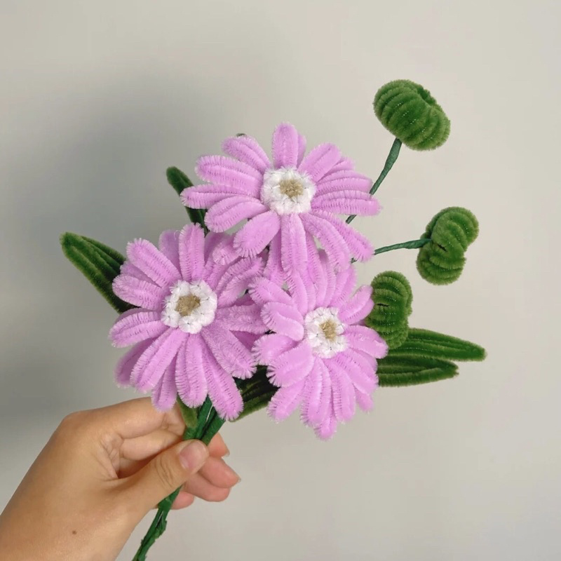 Hoa kẽm nhung - Một loại hoa độc đáo và đẹp mắt - 1