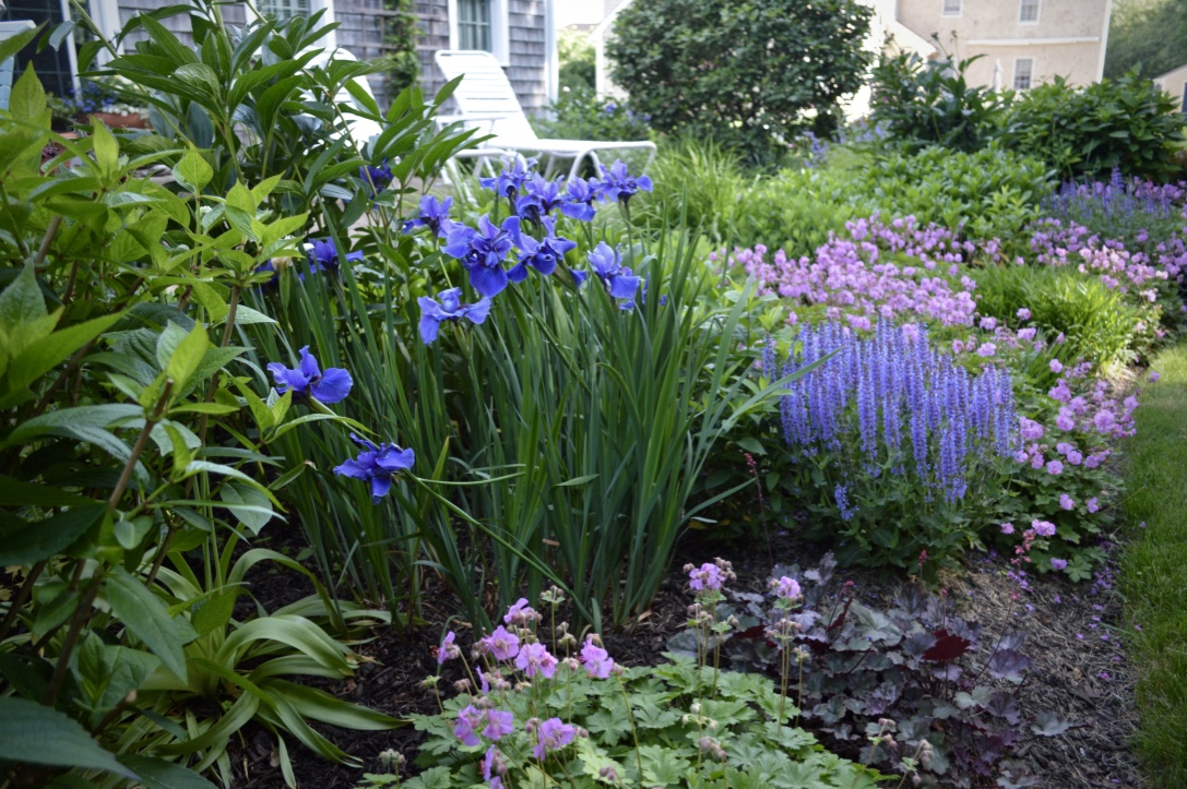 Plants That Do Well in the Planting Zone of Plymouth, MA