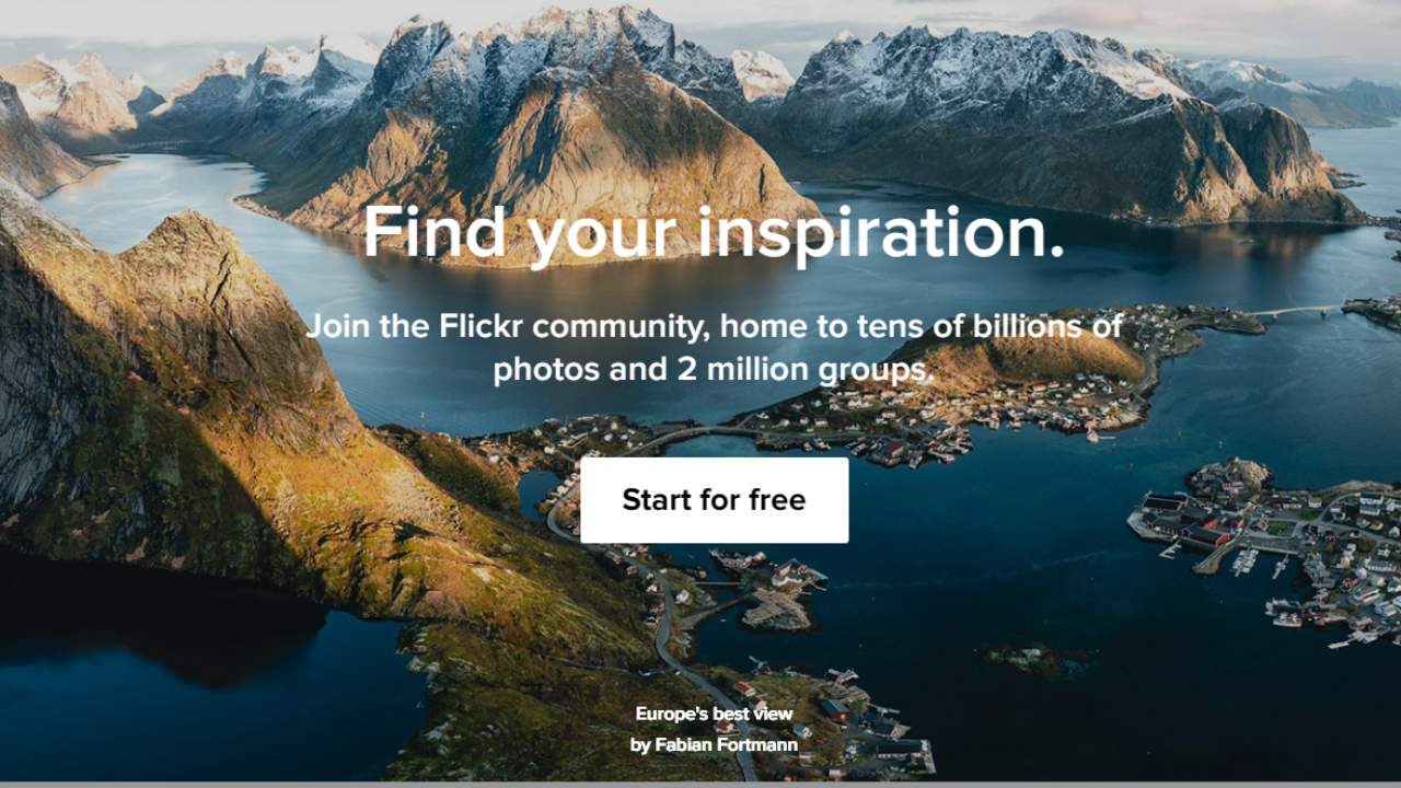 19 Best Reverse Image Search Alternatives Softlist.io