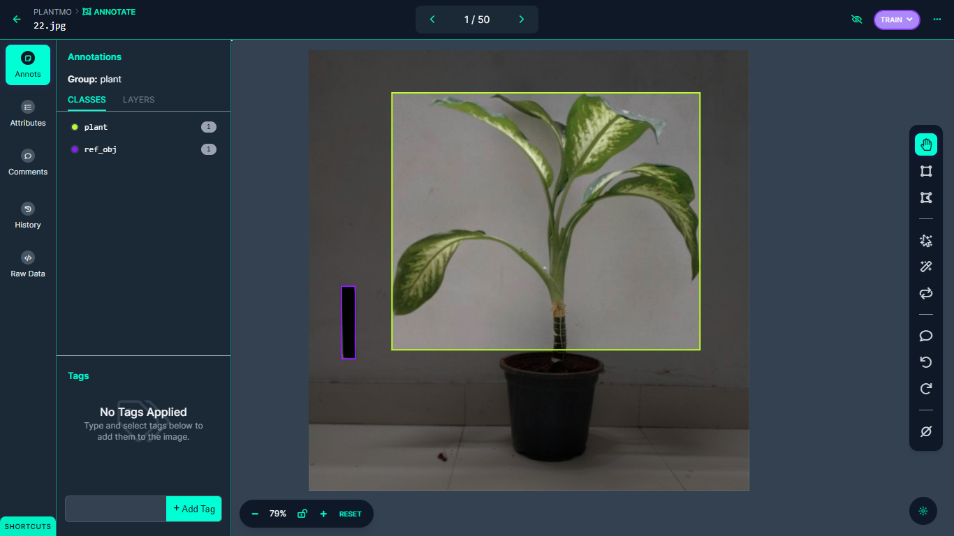 A plant in a pot

Description automatically generated