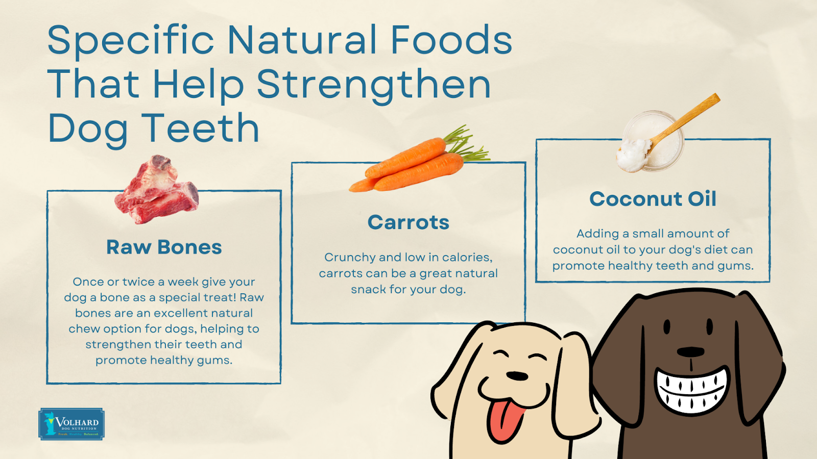 Natural foods strengthen dog teeth
