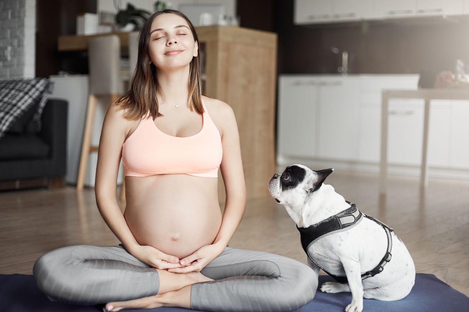 dogs and pregnant women 