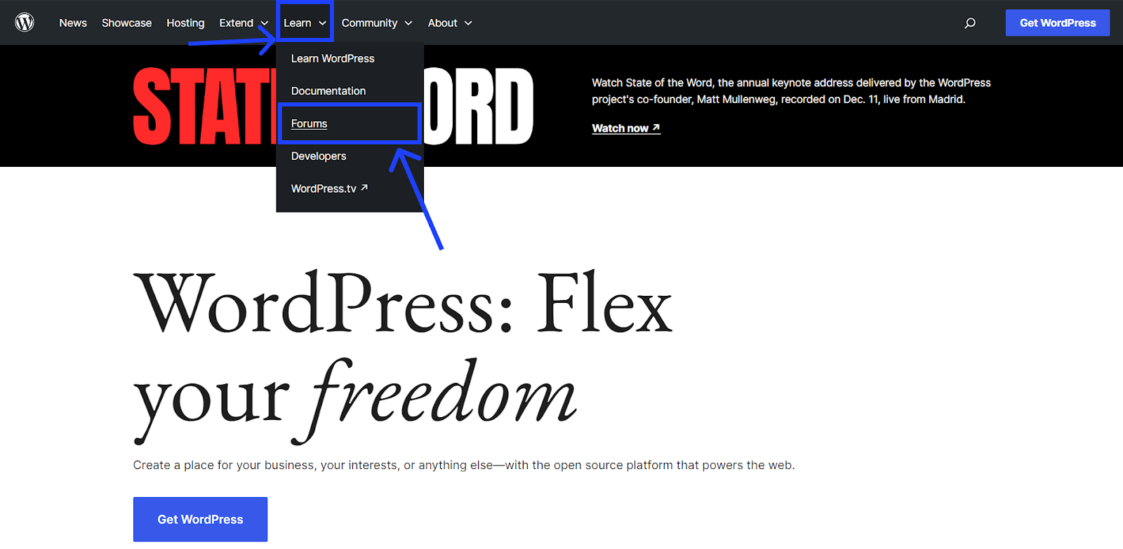 How to Use WordPress Forums