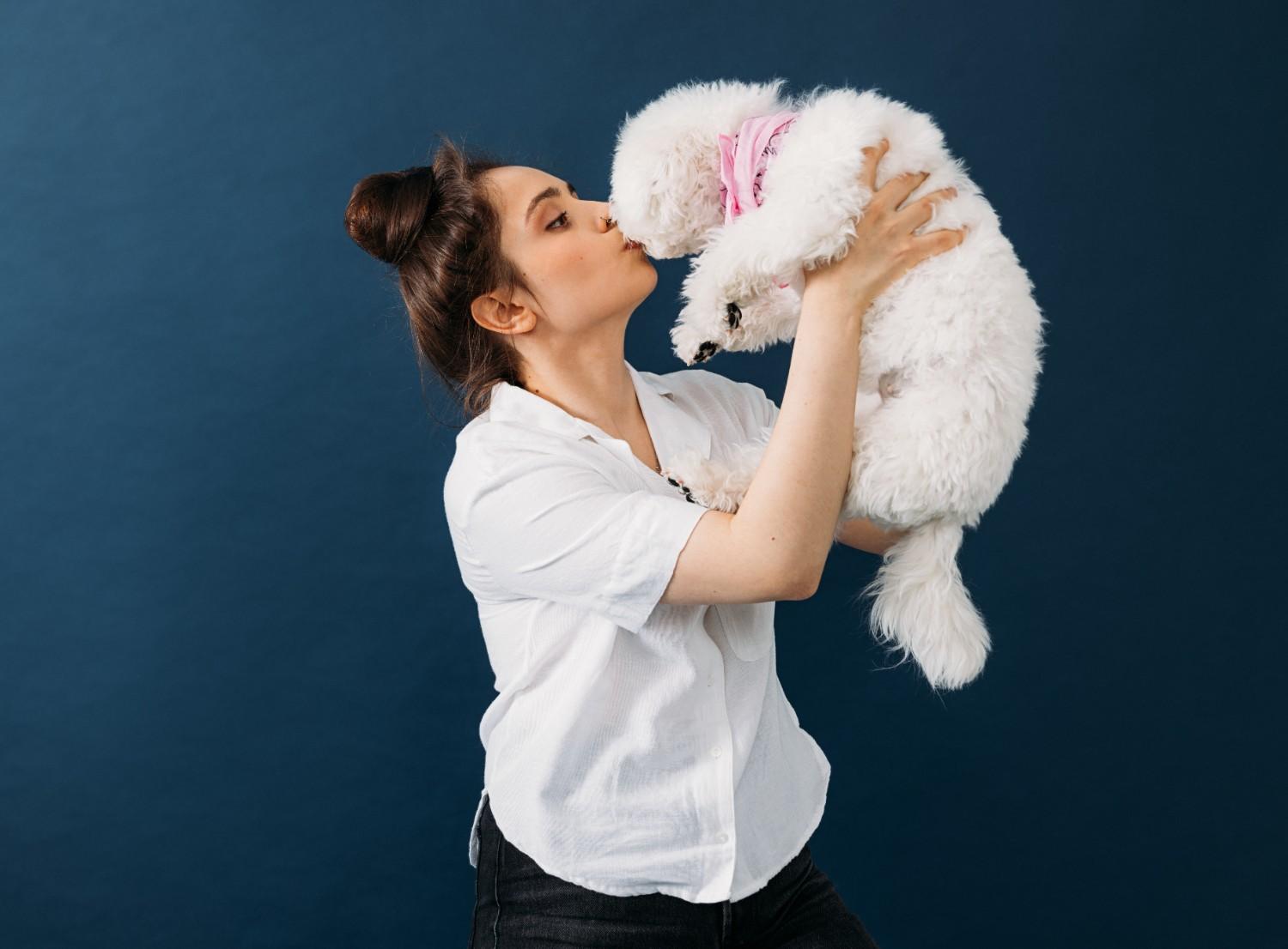 efficient poodle grooming styles