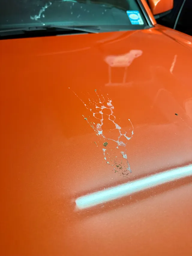 Damaged paint on orange car.