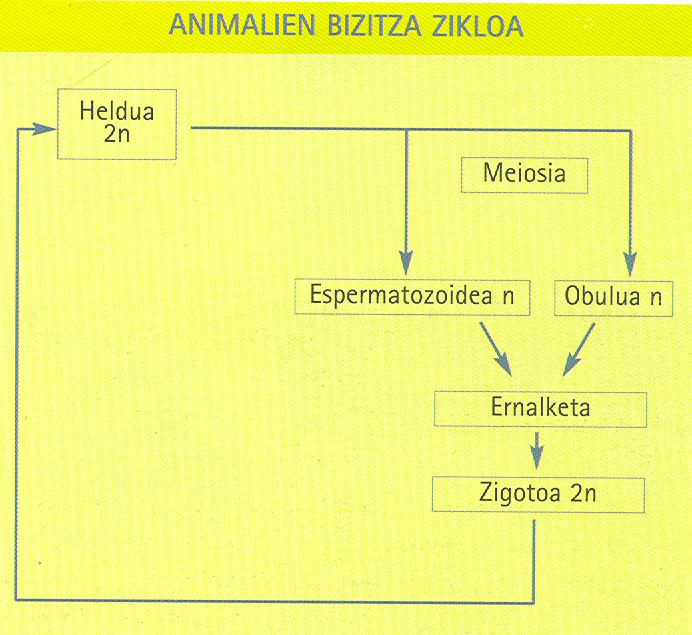 GtDXynOGqwFZ3LT70Un97ldbn7XMKkuuTZLZfCEG26NM7gTS8dHZT5Pr0ZhT3B3aimC5LlVndGEZsRgTnAI9KjW6tYUkM4IisQDBAg7njvG9iT6rfe9qWur7N8py5-Bk8F4CLyU_XW80RdE-rZe7rw
