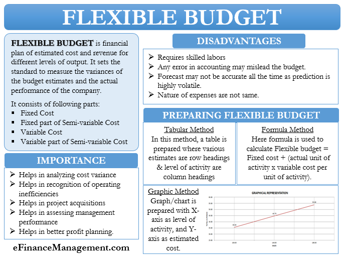 Flexible Budget
