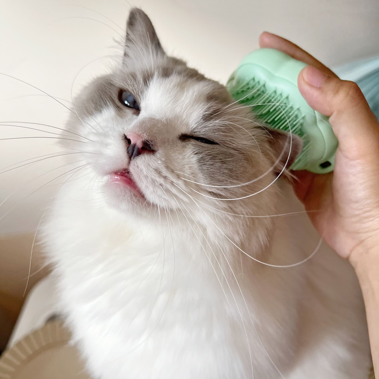 療癒梳毛時光！Tangle Teezer-PET TEEZE