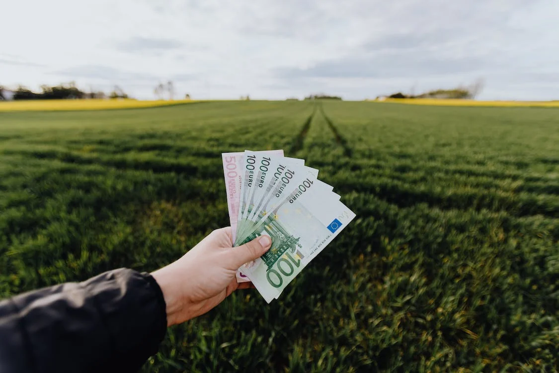 a person holding hundreds of dollars of cash on an open field