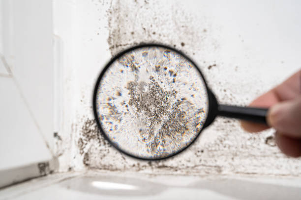 looking for signs of bathroom dampness