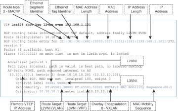 VXLAN BGP EVPN Enhancements > VXLAN/EVPN Forwarding Characteristics | Cisco  Press