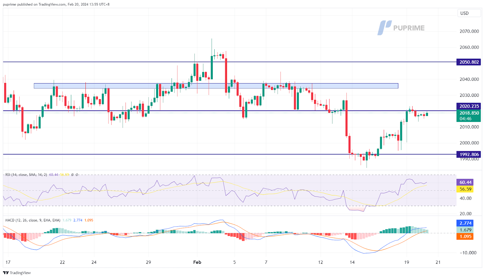 XAU/USD gold price chart 20 February 2024 prop trading