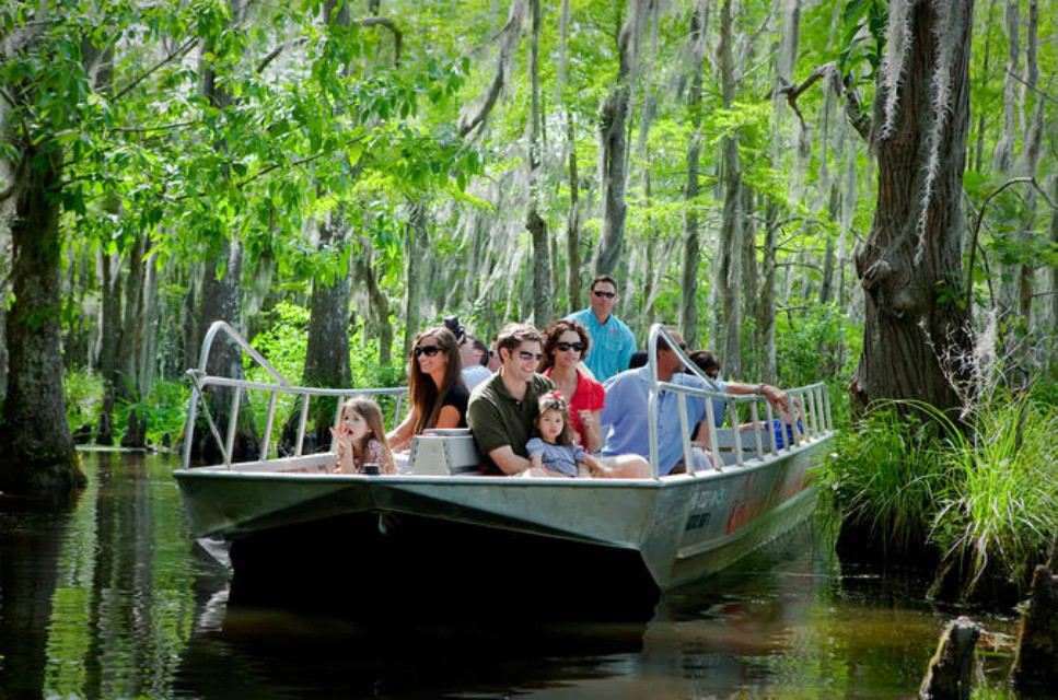 Top 9 Reasons to Include a Louisiana Swamp Tour in Your Travel Itinerary