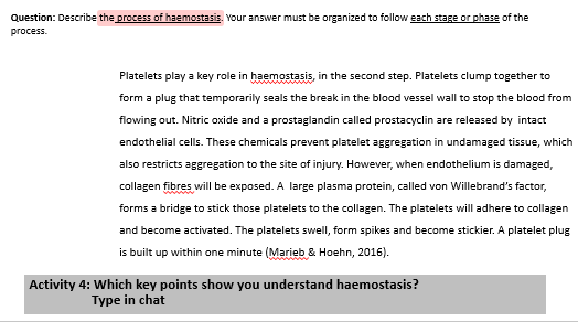 Activity to highlight noun groups relating to process of haemostasis