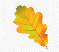 https://img2.freepng.ru/20181211/cxg/kisspng-portable-network-graphics-clip-art-leaf-image-oak-ampquot-5c102bbba353a6.299603341544563643669.jpg