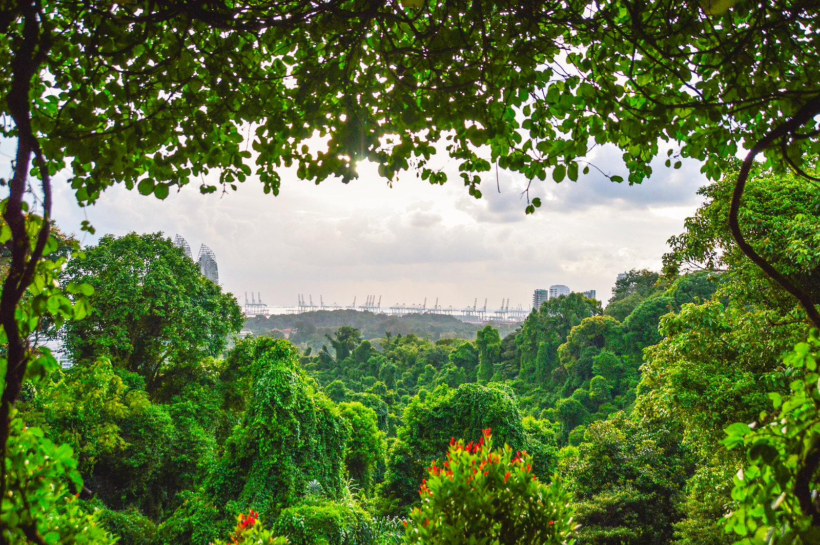 Đồi Mount Faber - thiên đường xanh của Singapore