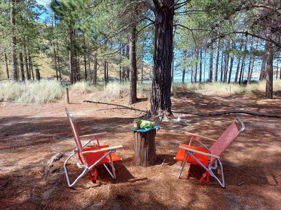 Okains Bay Campground