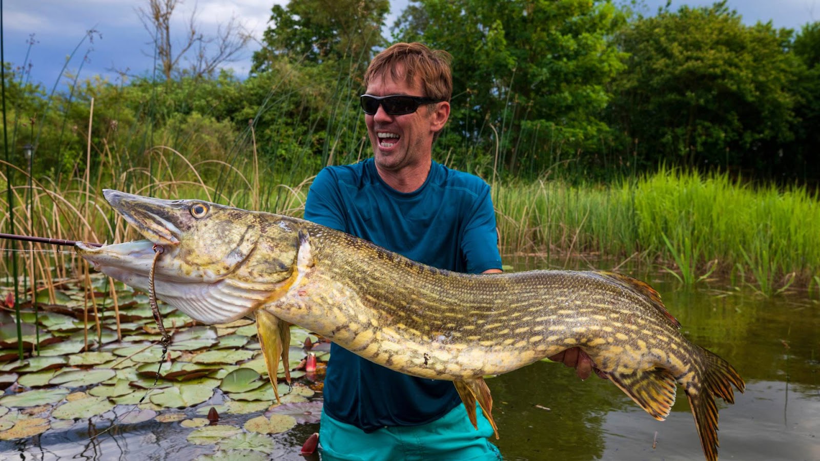 Advanced Pike Fishing - Trophy Pike Fish