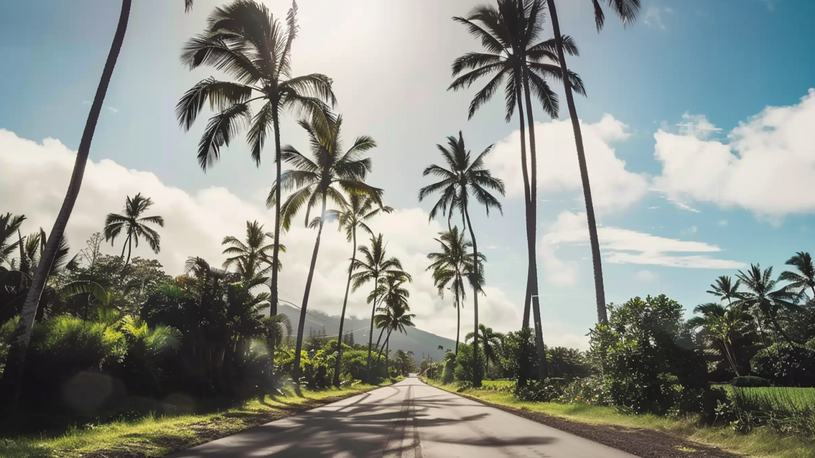 A concrete road between palm trees in Hawaii