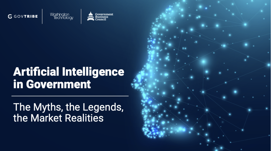 AI in government, the myths, the legends, the market realities.