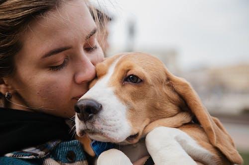 Free Close-Up Photo of a Woman Kissing Her Cute Beagle Pet Stock Photo