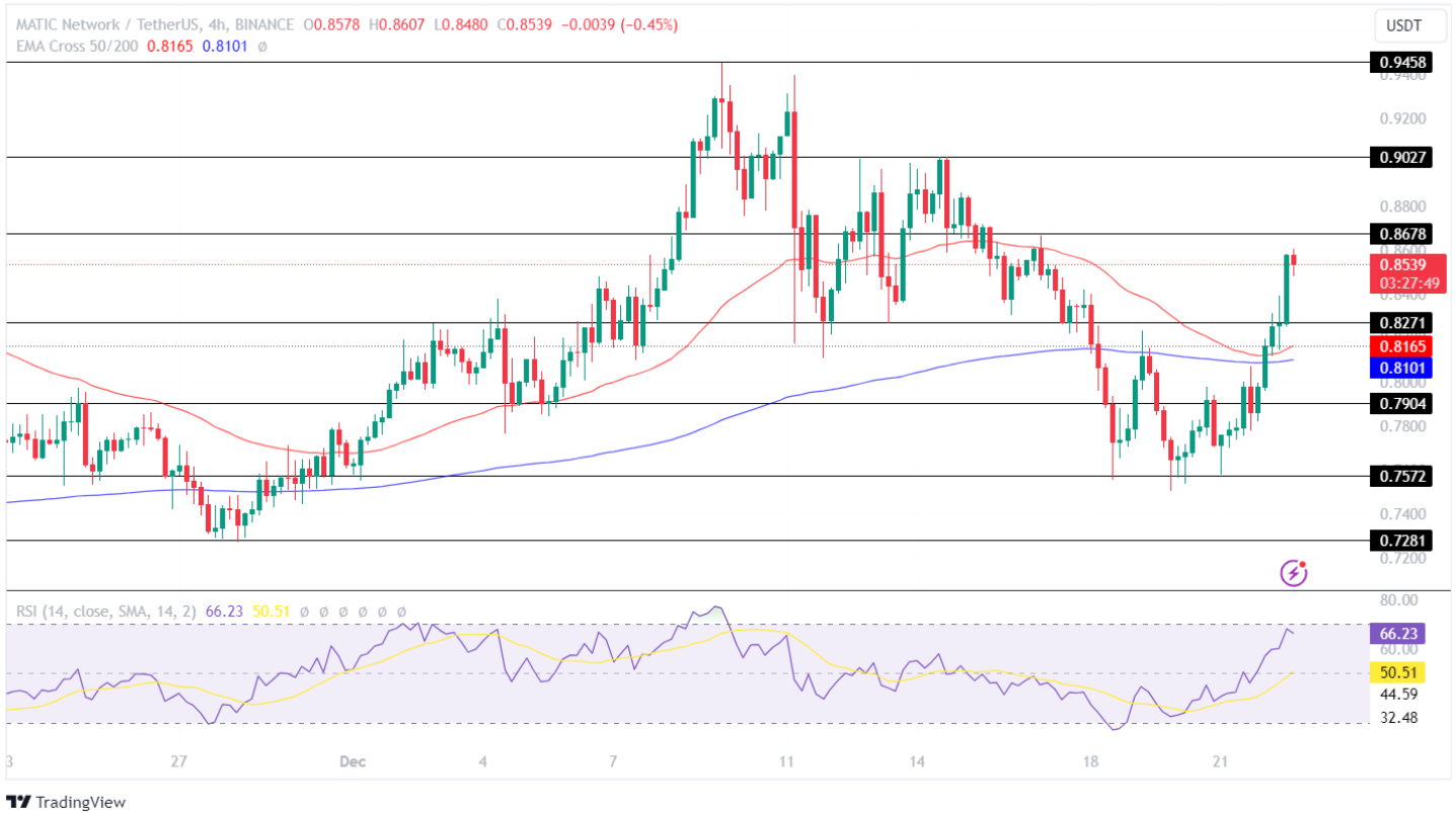 Polygon Price Analysis