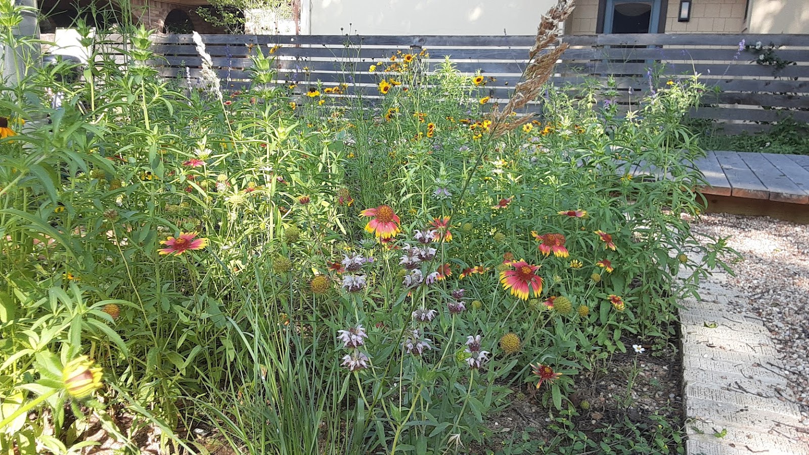 March 2021 Jennifer's Pocket Prairie