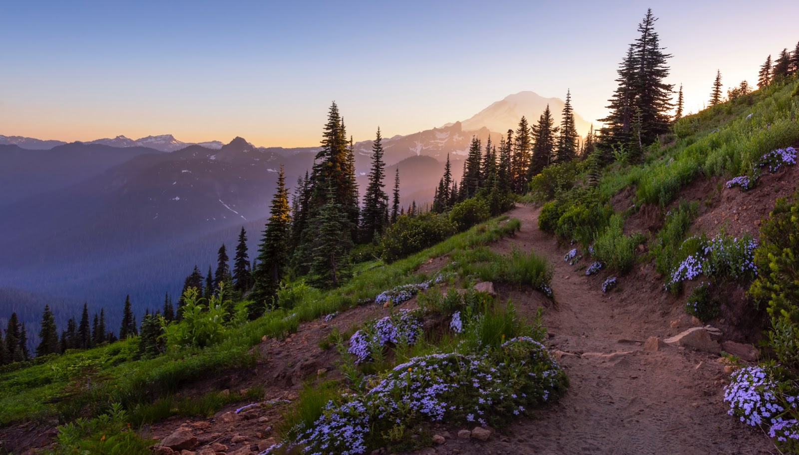 mount rainier at golden hour