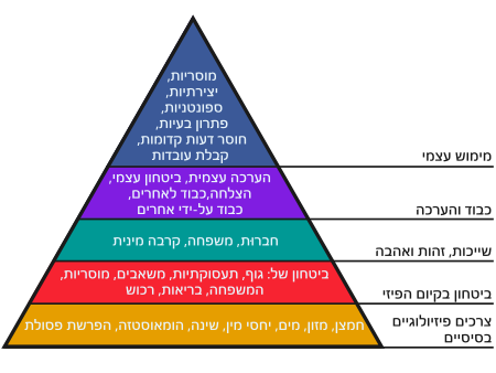 https://upload.wikimedia.org/wikipedia/he/thumb/5/5c/Maslow%27s_Hierarchy_of_Needs_he.svg/450px-Maslow%27s_Hierarchy_of_Needs_he.svg.png
