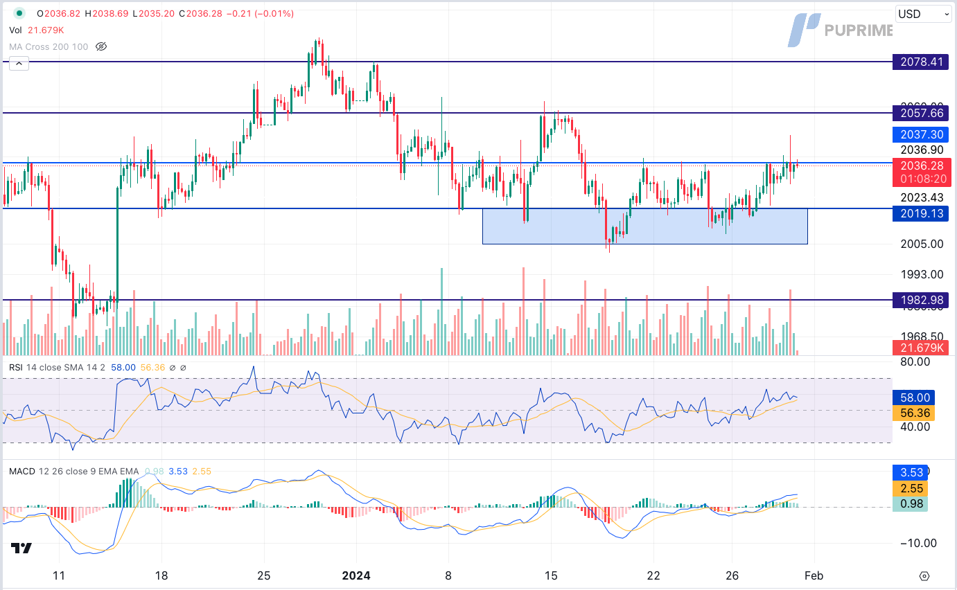 prop trading gold xau/usd price chart 31 January 2024