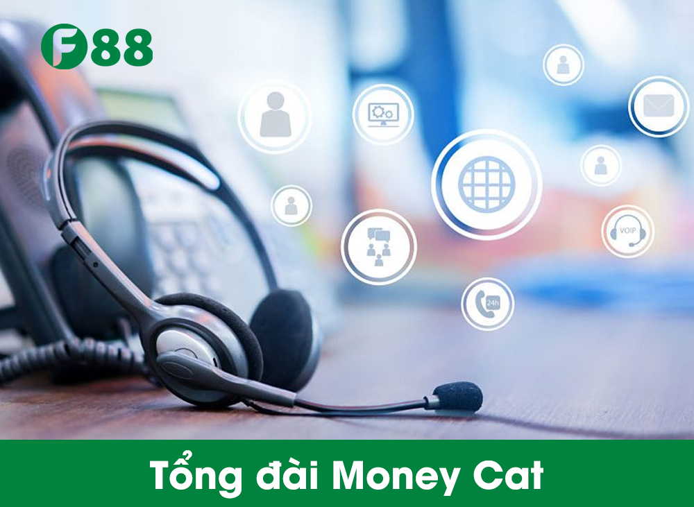 Tổng đài MoneyCat