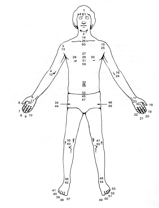 61 point Exercise for Yoga Nidra