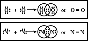Explain the formation of a double bond in oxygen molecule.