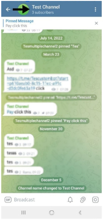 Telegram Mobile App