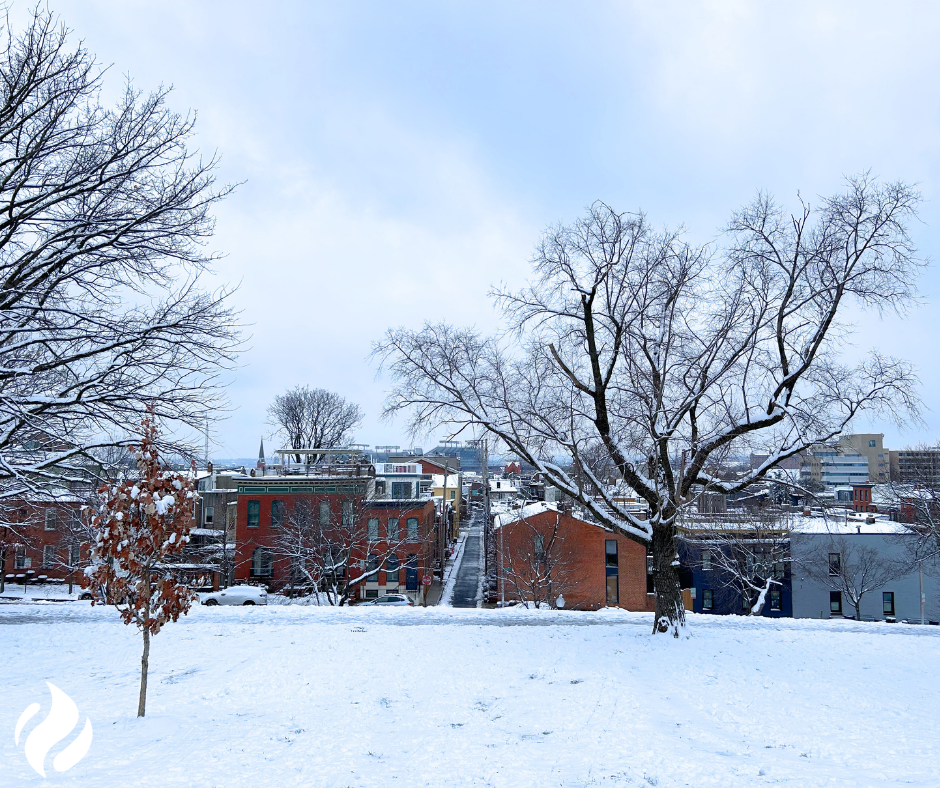 Snow-covered field in Baltimore, Maryland, featuring trees and brick row homes in the background