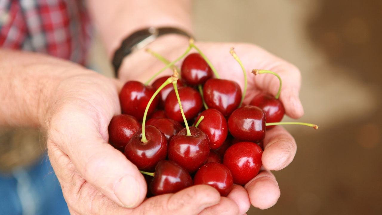 Cherry-Uc-king-food-mart